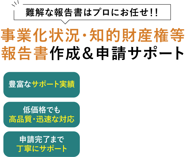 投資家・投資家ファンド用事業計画書作成サービス