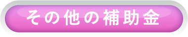 その他の補助金