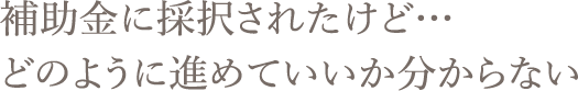 補助金に採択されたけど…どのように進めていいか分からない