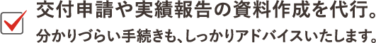 交付申請や実績報告の資料作成を代行。分かりづらい手続きも、しっかりアドバイスいたします。