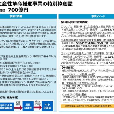 【令和２年度】持続化補助金（特別枠）の上限が100万円に増額